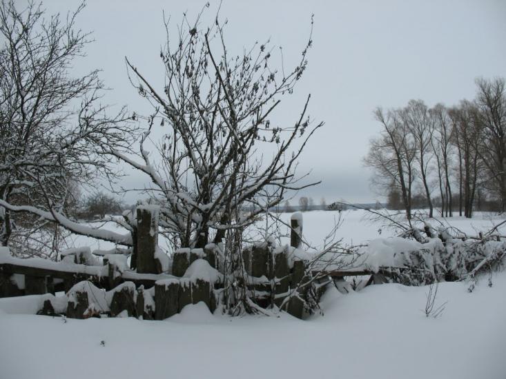 Осіч з panoramio.com - Осіч