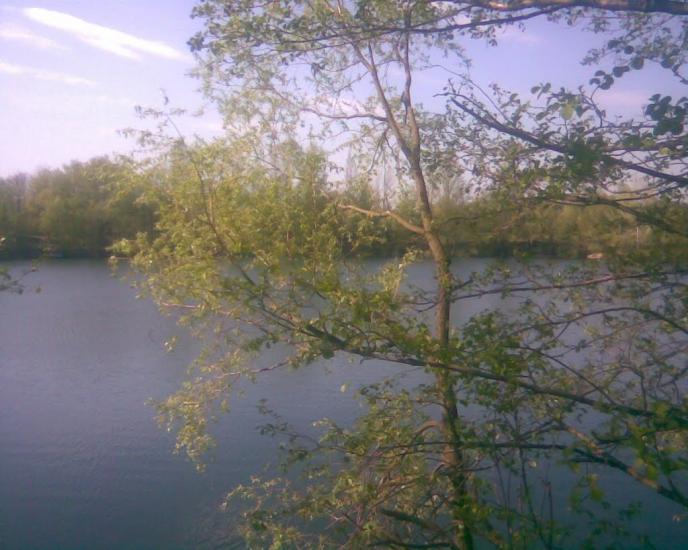 Бушеве з panoramio.com - Бушеве
