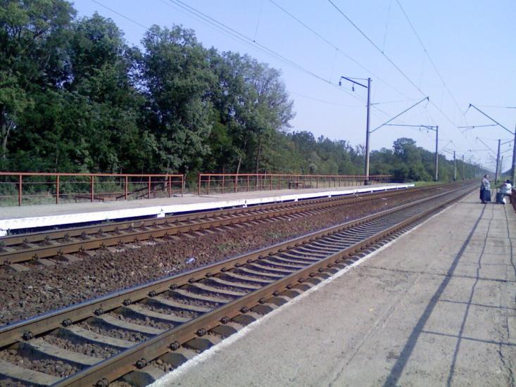 Виноградар з panoramio.com - Виноградар