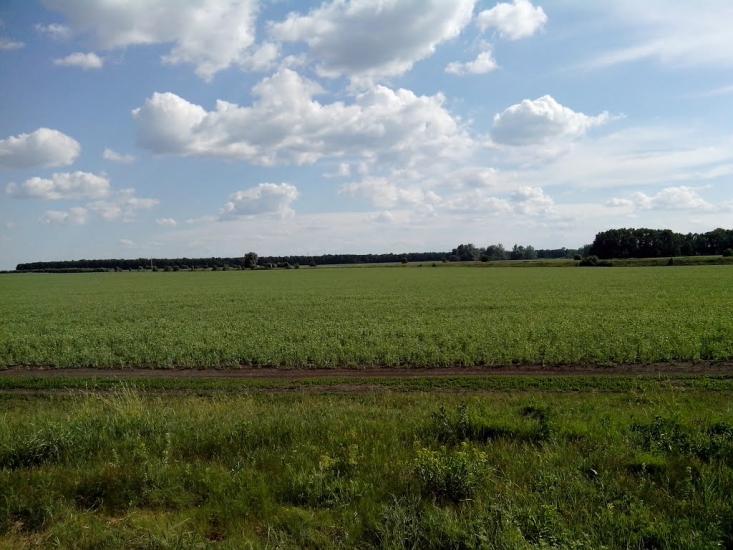 Єлизаветівка з panoramio.com - Єлизаветівка