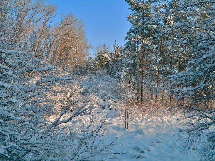 Волноваха з panoramio.com - Волноваха