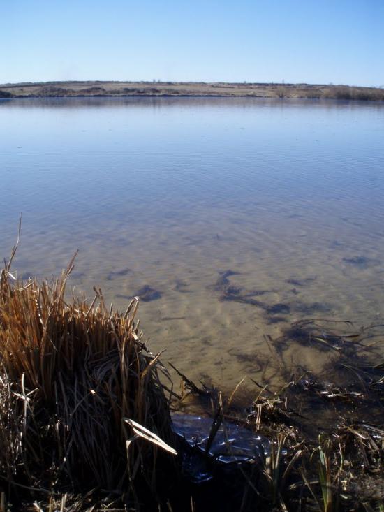 Рогізне з panoramio.com - Рогізне