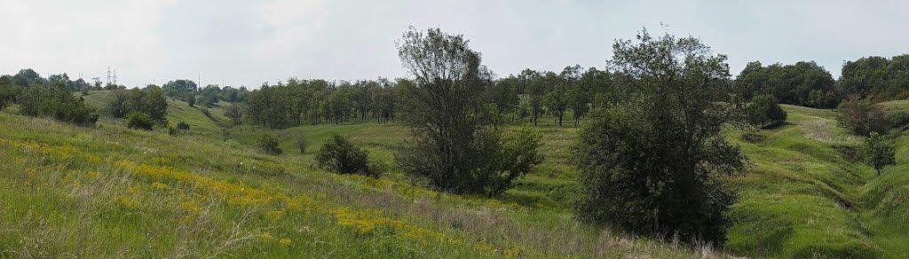 Булавинське з panoramio.com - Булавинское