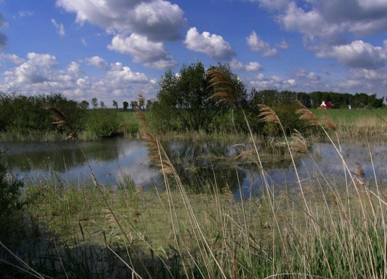 Стаївка з panoramio.com - Stayivka