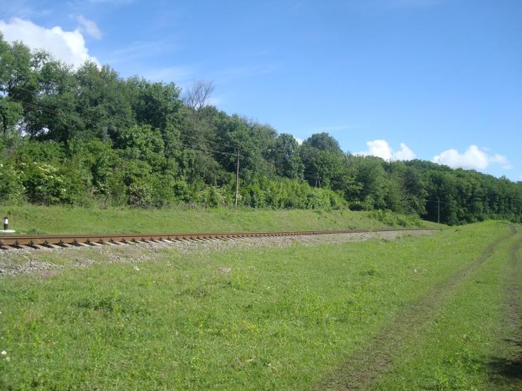 Городок з panoramio.com - Городок