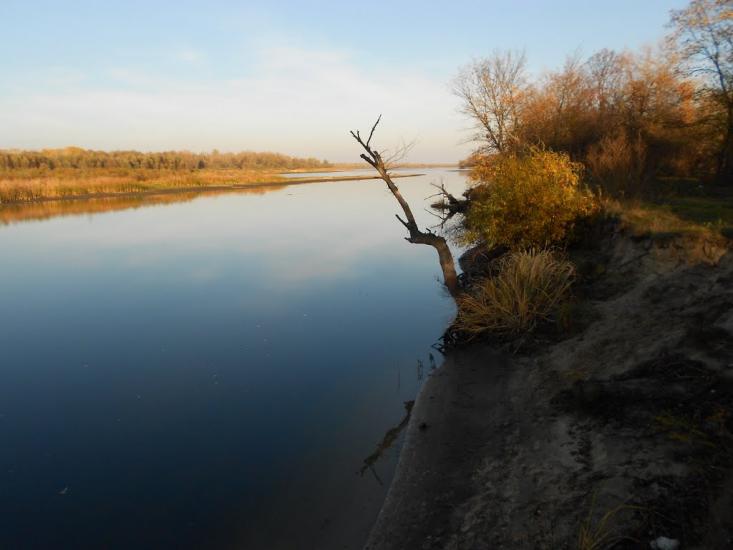 Хрещатик з panoramio.com - Хрещатик