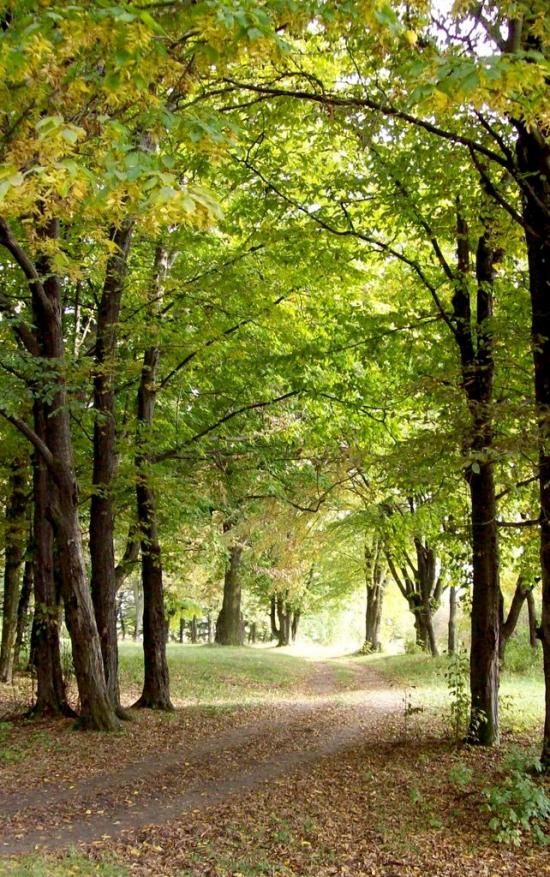 Думени з panoramio.com - Думены