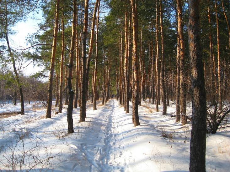 Бугаївка з panoramio.com - Бугаевка