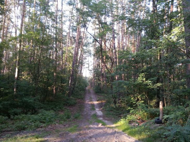 Княжичі з panoramio.com - Княжичі