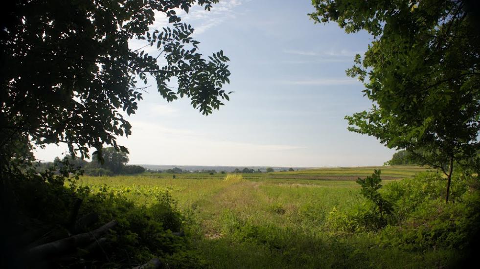 Борщівка з panoramio.com - Борщівка