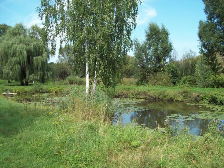 Загірське з panoramio.com - Загірське