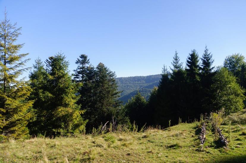 Ужок з panoramio.com - Uzhok