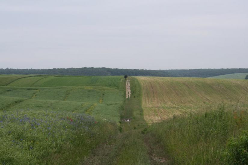 Острожець з panoramio.com - Острожец
