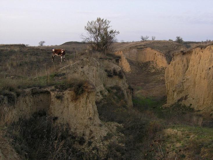 Роксолани з panoramio.com - Роксоланы