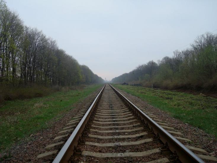 Пашківці з panoramio.com - Пашковцы