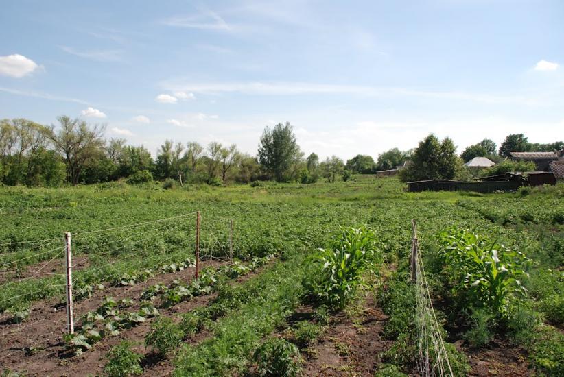 Пильна з panoramio.com - Пыльная