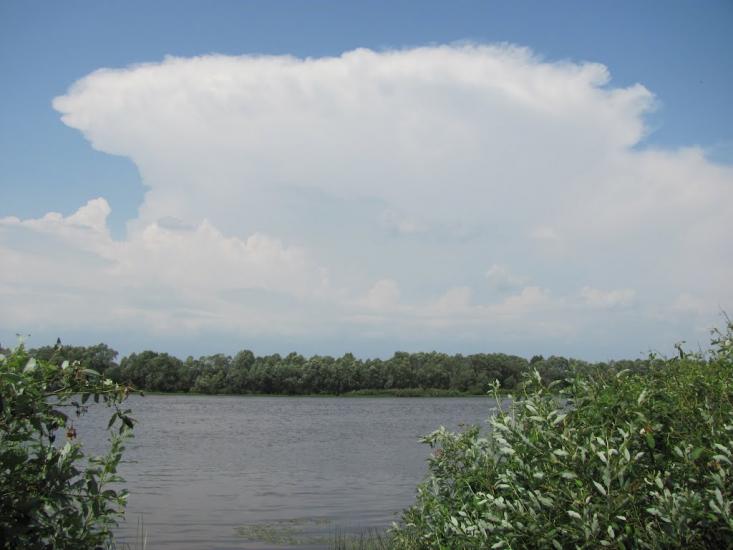 Губичі з panoramio.com - Губичі