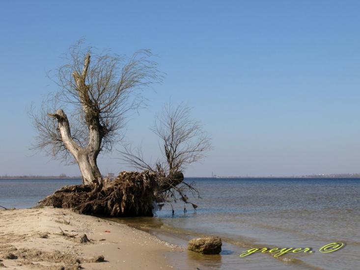 Малокаховка з panoramio.com - Малокаховка