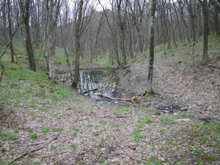 Лісне з panoramio.com - Лісне