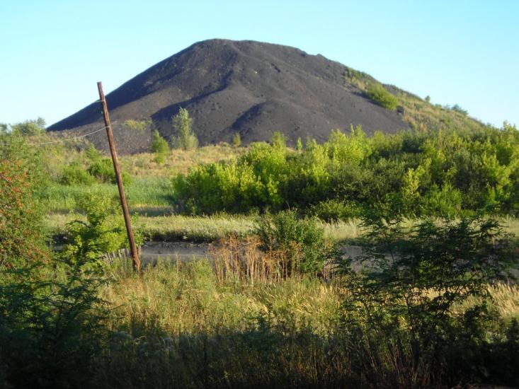 Червонопартизанськ з panoramio.com - Червонопартизанск