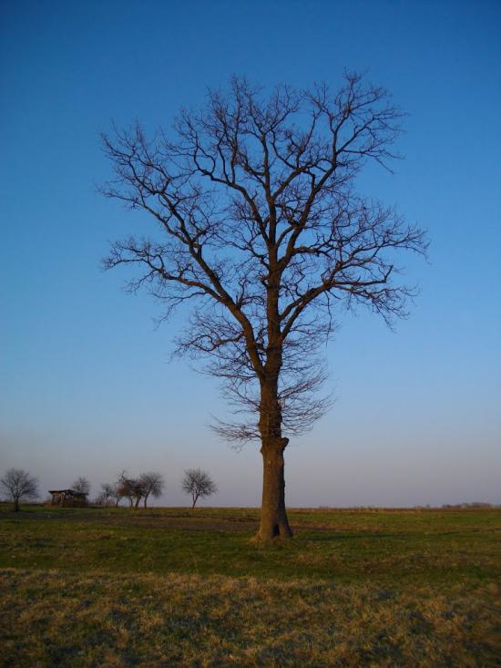 Озеро з panoramio.com - Озеро