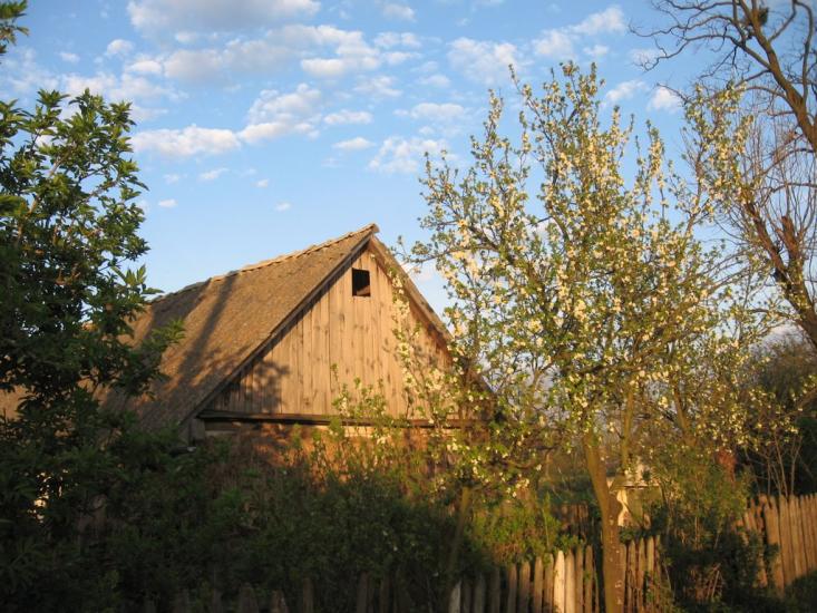 Іванопіль з panoramio.com - Иванополь