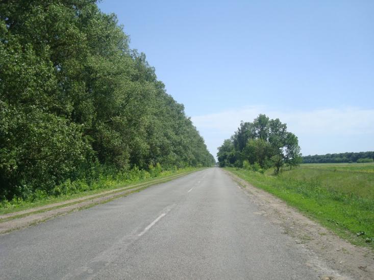 Грузевиця з panoramio.com - Gruzevytsya