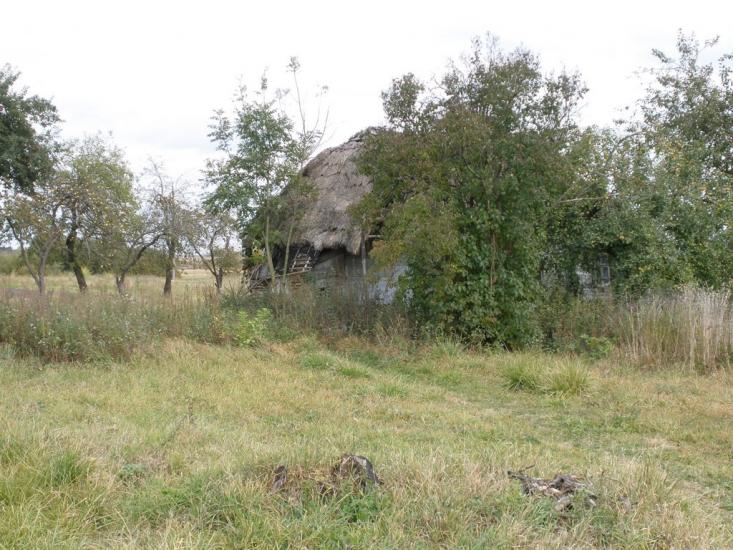 Романів з panoramio.com - Романов