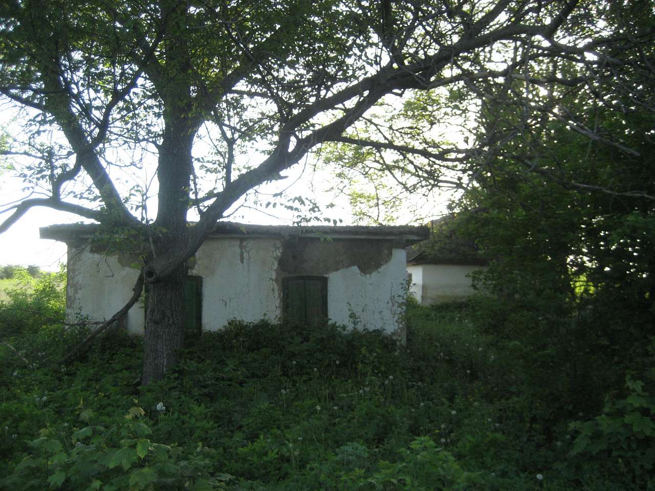 с.Китайгород - Китайгород