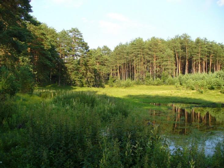 Онишківці з panoramio.com - Онишковцы