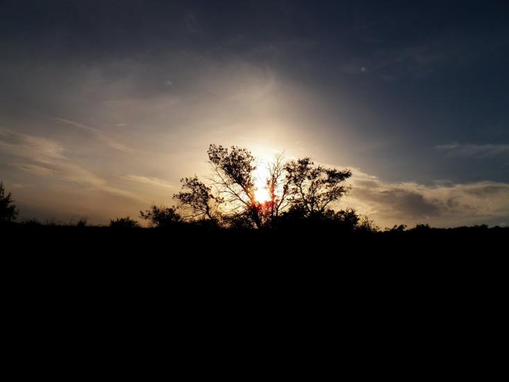 Біле з panoramio.com - Bile