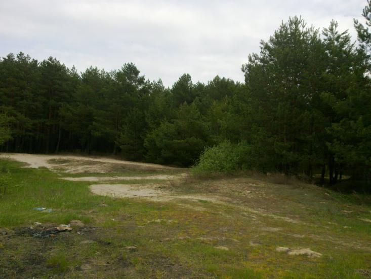 Линея з panoramio.com - Линея