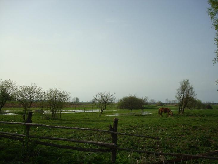 Дроздні з panoramio.com - Дроздні