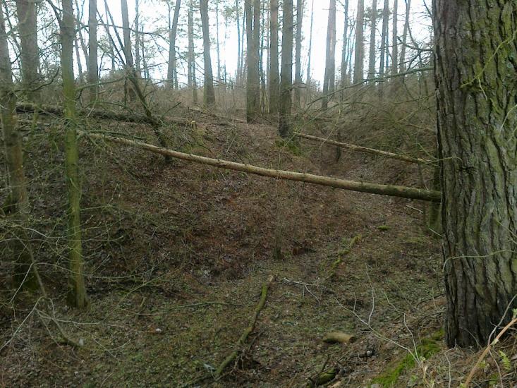 Собичеве з panoramio.com - Собичево