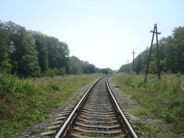 Тарасівка з panoramio.com - Тарасовка