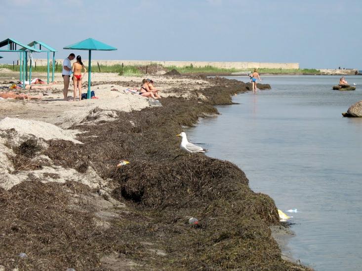 Хорли з panoramio.com - Хорли