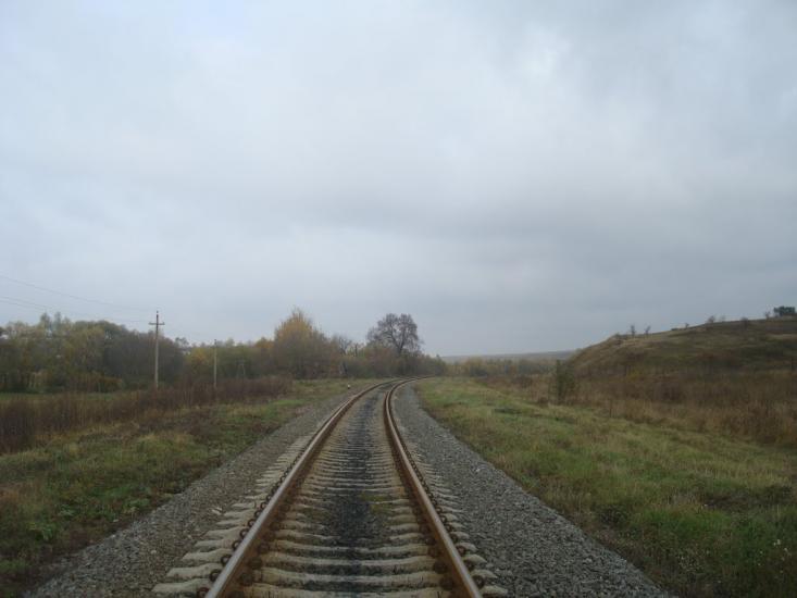 Вільхівчик з panoramio.com - Ольховчик