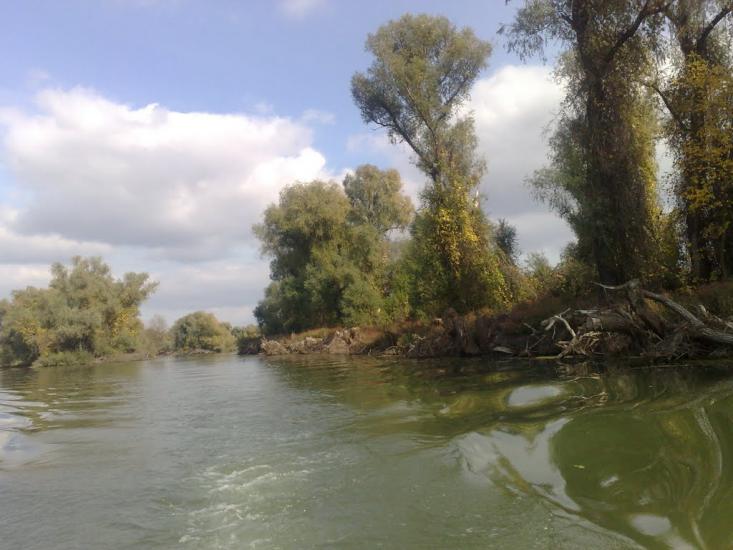 Дунайське з panoramio.com (ч.2) - Дунайське