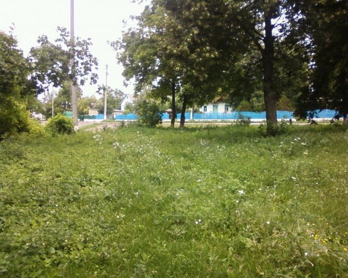 Ратуш з panoramio.com - Ратуш