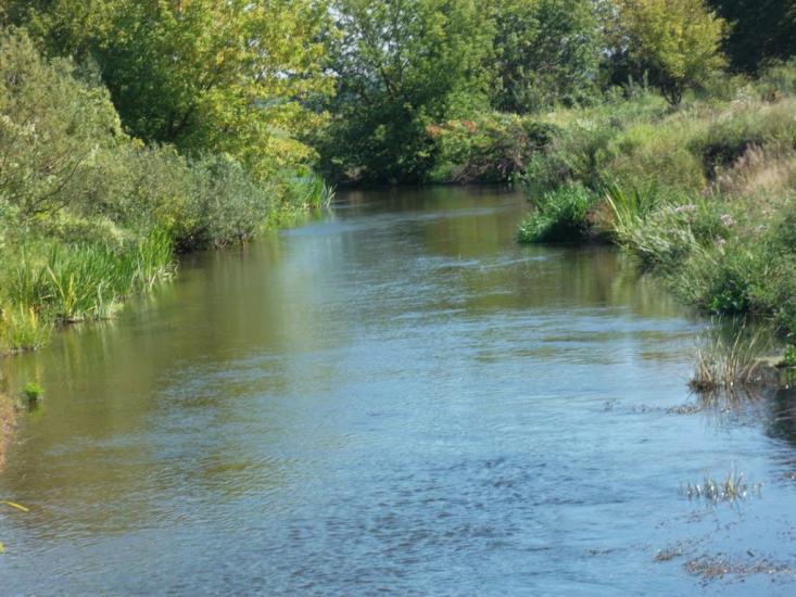 Ялцівка з panoramio.com - Jaltsivka