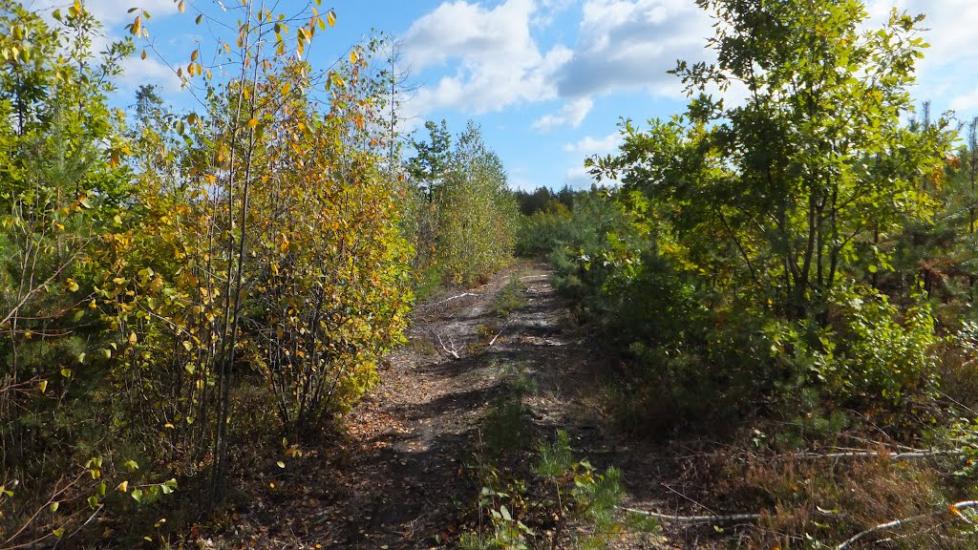 Святе з panoramio.com - Святе