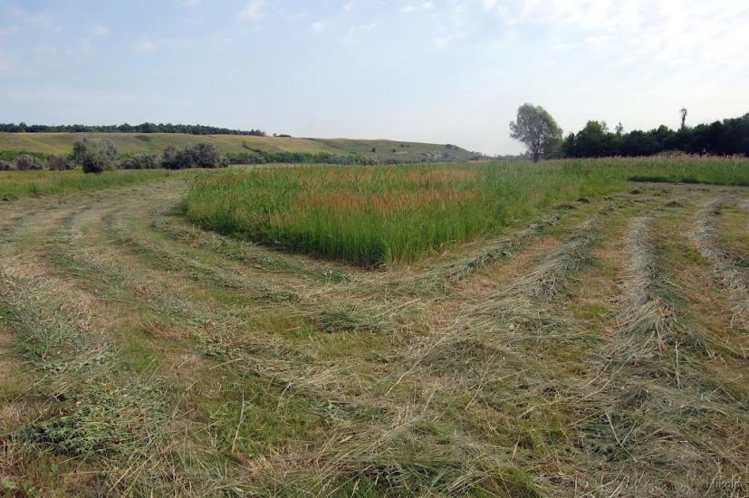 Пристине з panoramio.com - Пристине