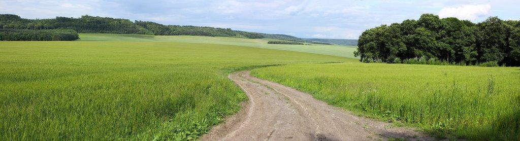 Гавареччина з panoramio.com - Гаваретчина
