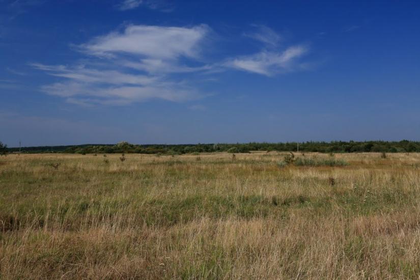 Буцин з panoramio.com - Буцин