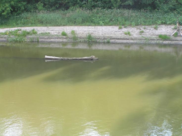 Синичине з panoramio.com - Синичине