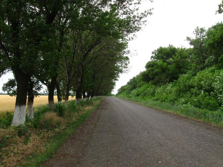 Ашуркове з panoramio.com - Ашуркове