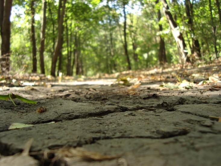 Красноград з panoramio.com - Krasnograd