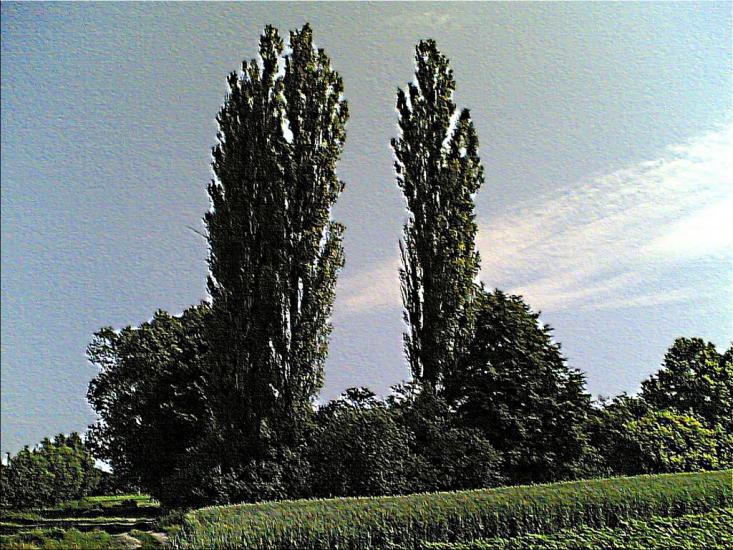 Лідава з panoramio.com - Лідава