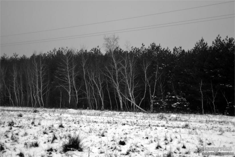 Мала Перещепина з panoramio.com - Малая Перещепина