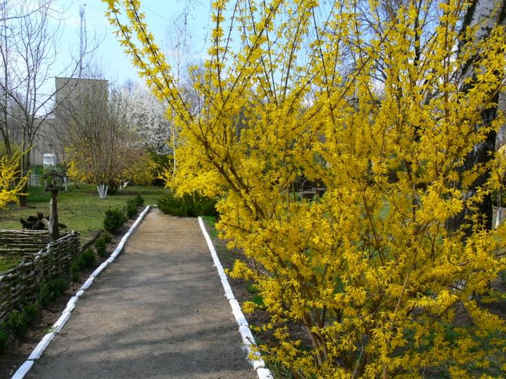 Городище з panoramio.com - Городище